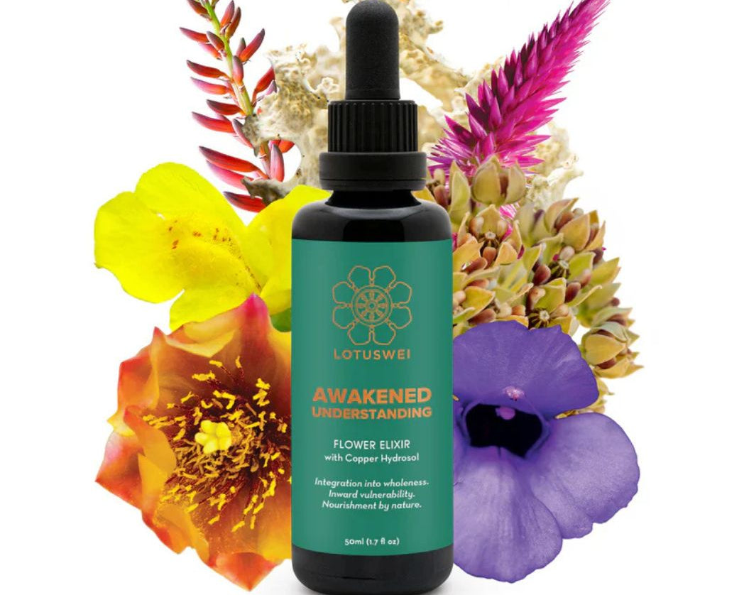 AwakenedUnderstandingElixir-1.jpg