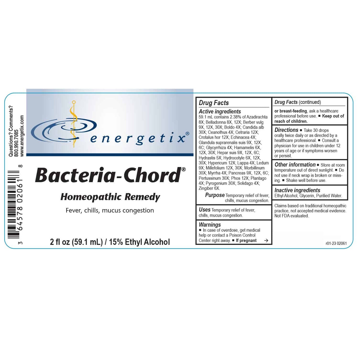 Bacteria-Chord