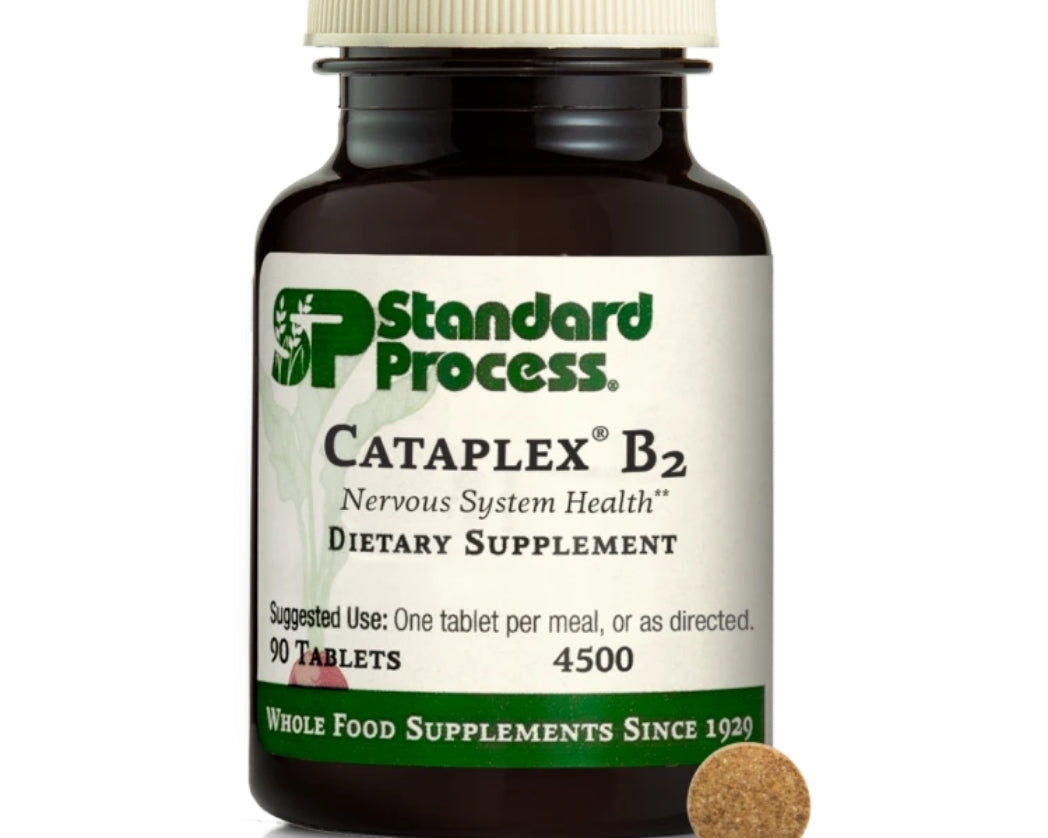 CataplexB2-1.jpg