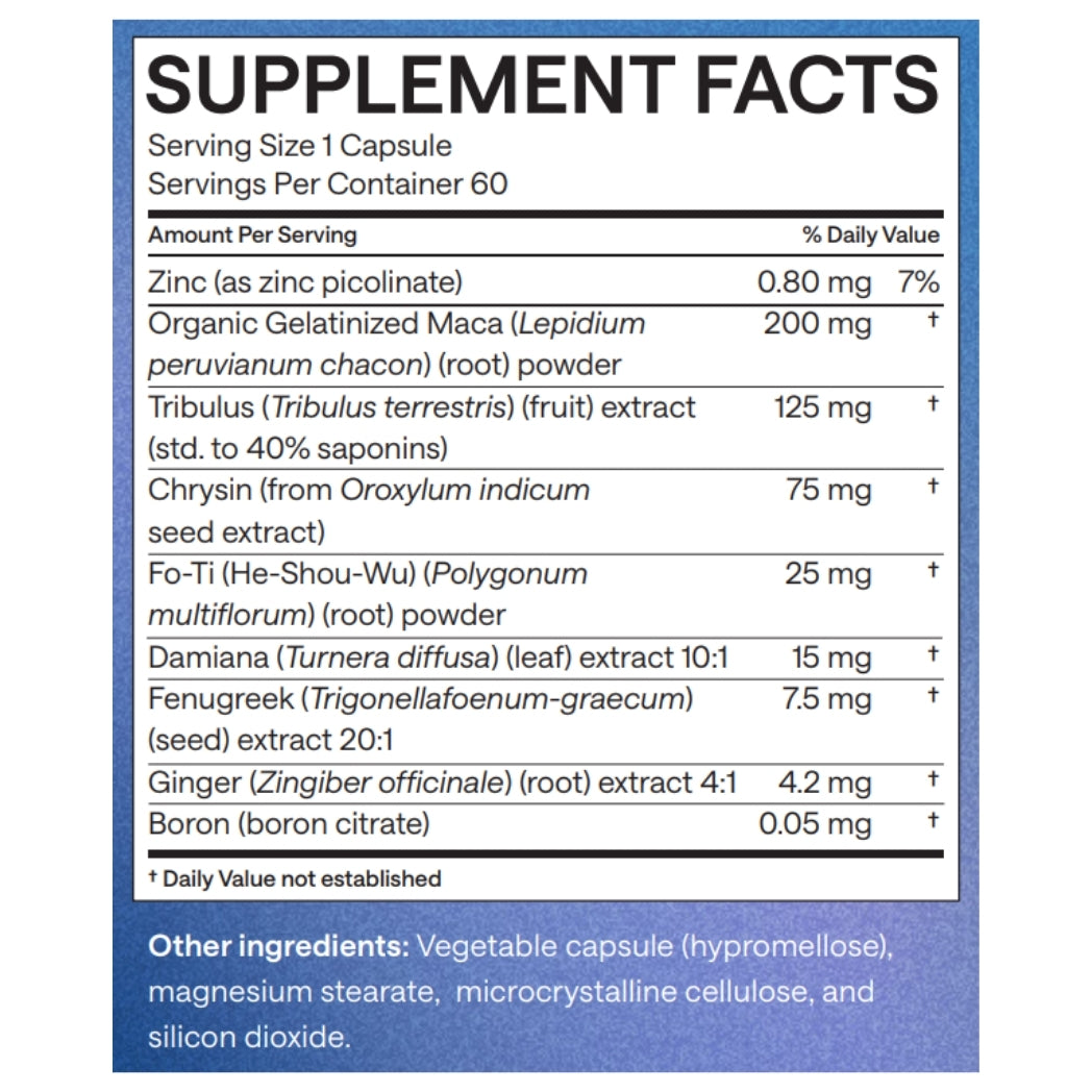 EndoAxis 5 Harmonize