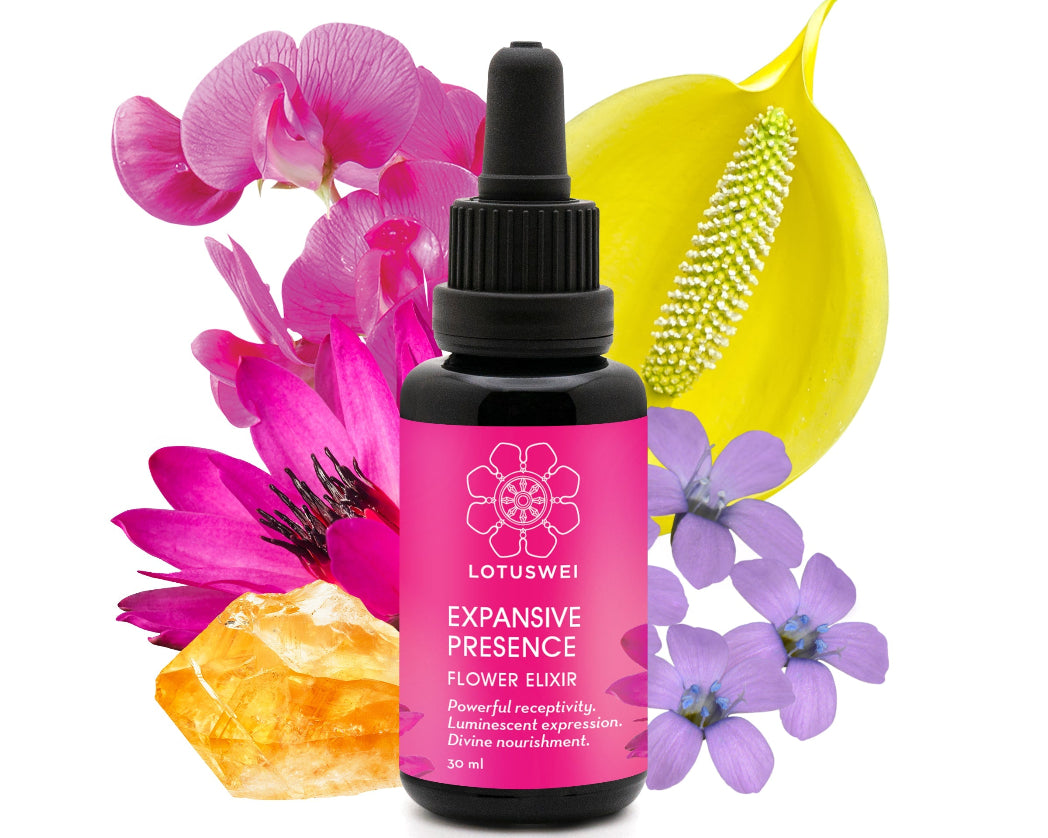 ExpansivePresence-Elixir_flowers.jpg