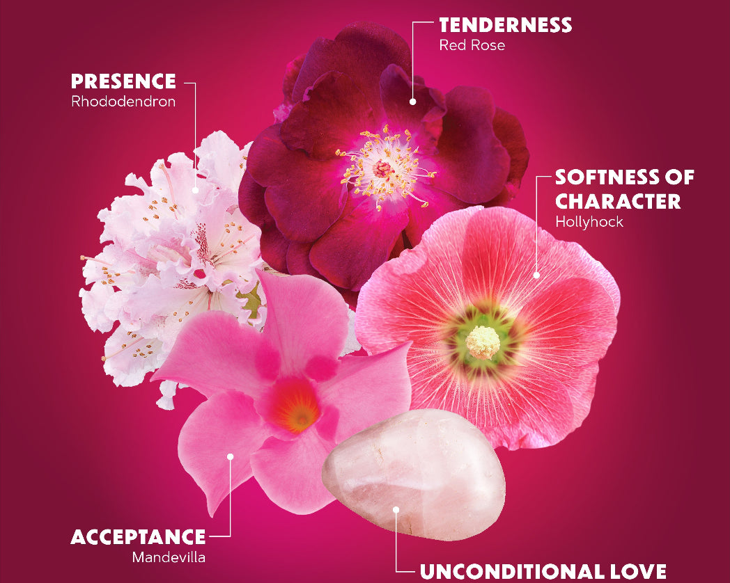 FierceCompassion-FlowerCollage.jpg