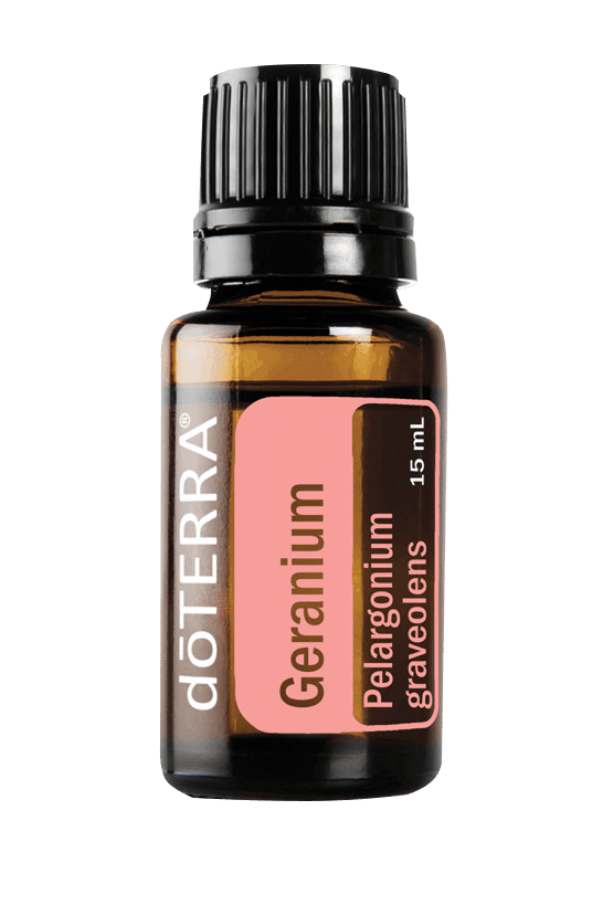 Geranium