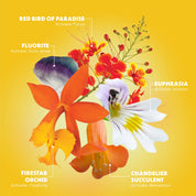 Inspired Action Anointing Oil