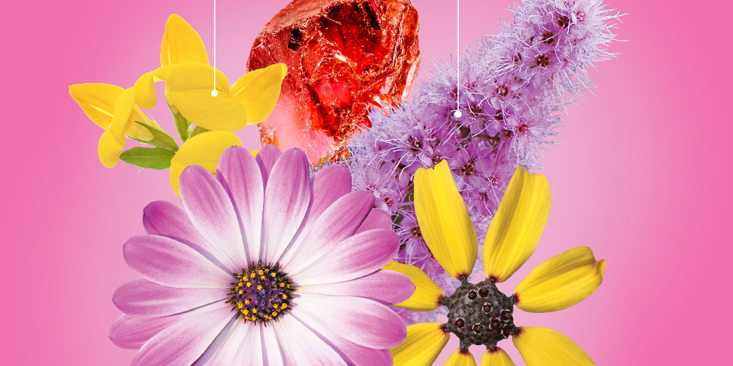 JJ-FlowerCollage.jpg