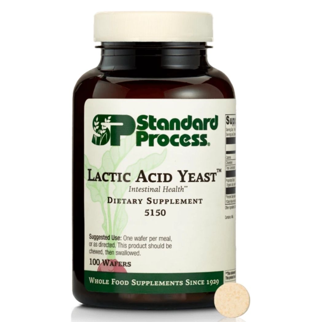 Lactic Acid Yeast