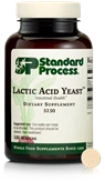 Lactic Acid Yeast