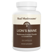 Lion's Mane Cognition
