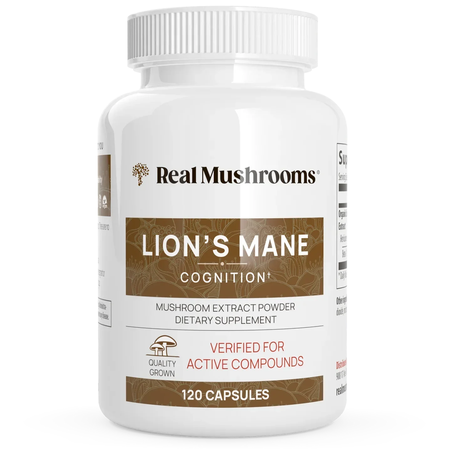 Lion's Mane Cognition