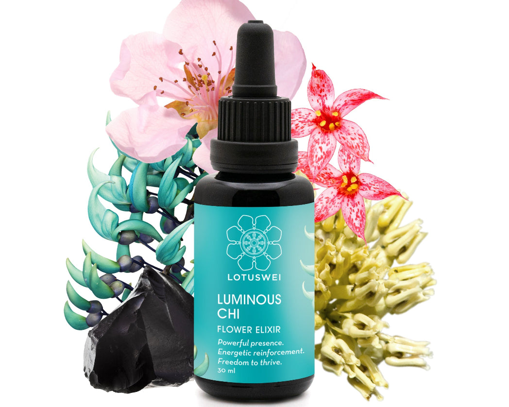 LuminousChi-Elixir_flowers_1.jpg