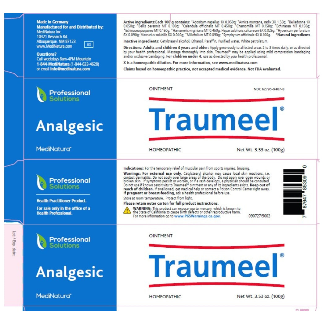 Traumeel Ointments MediNatura