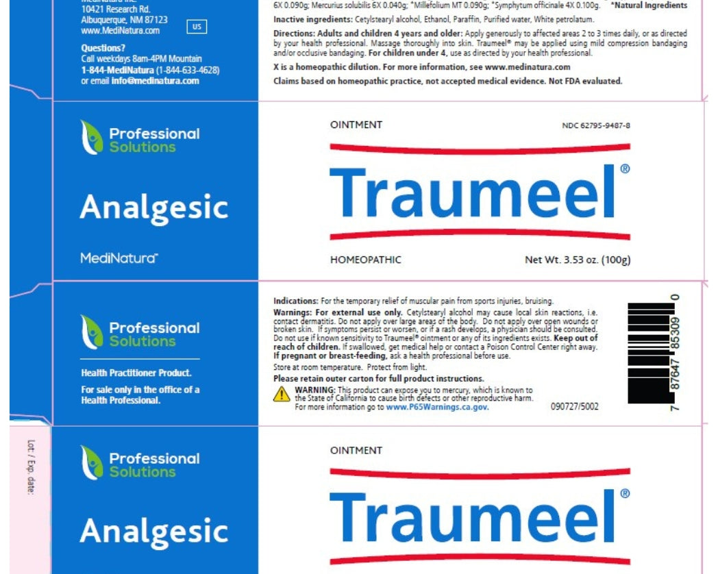 New_Traumeel_Ointment_2.jpg