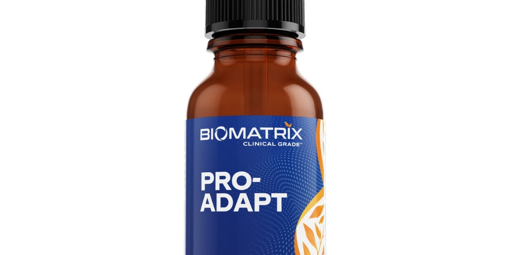Pro-Adapt-1.jpg