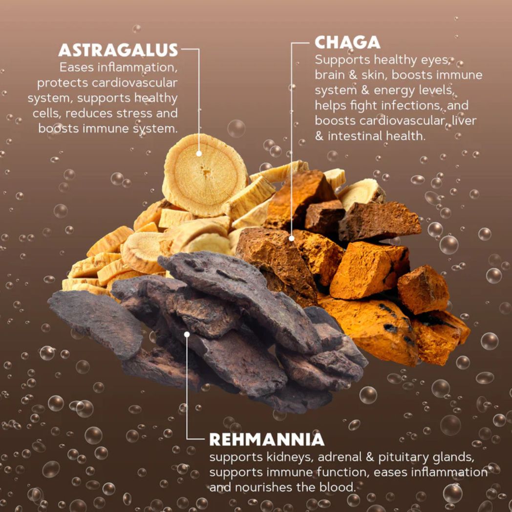 ROOT BEER HERBAL SODA CONCENTRATE