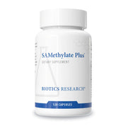 SAMethylate Plus