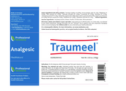 Traumeel Ointments MediNatura