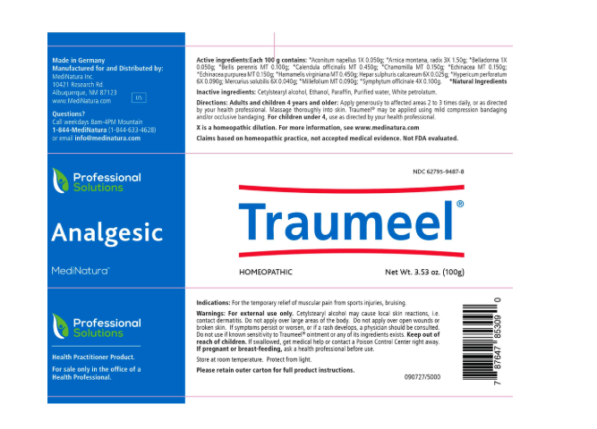 Traumeel Ointments MediNatura