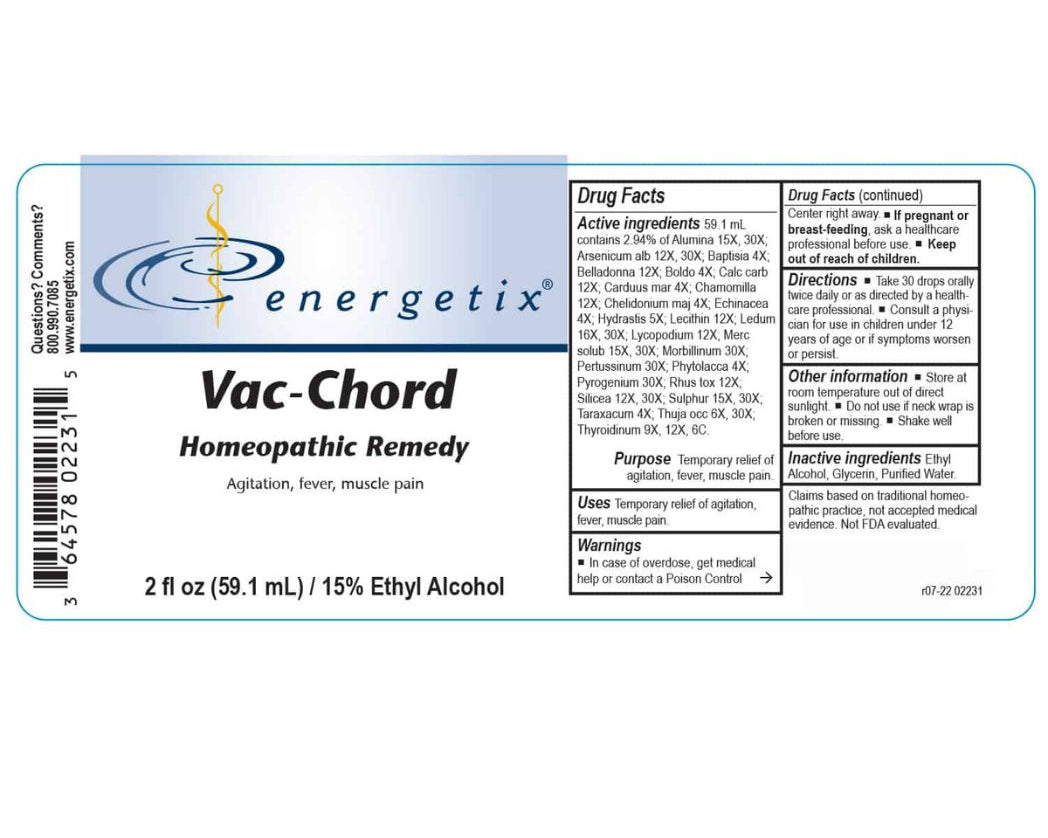 Vac-Chord-2.jpg
