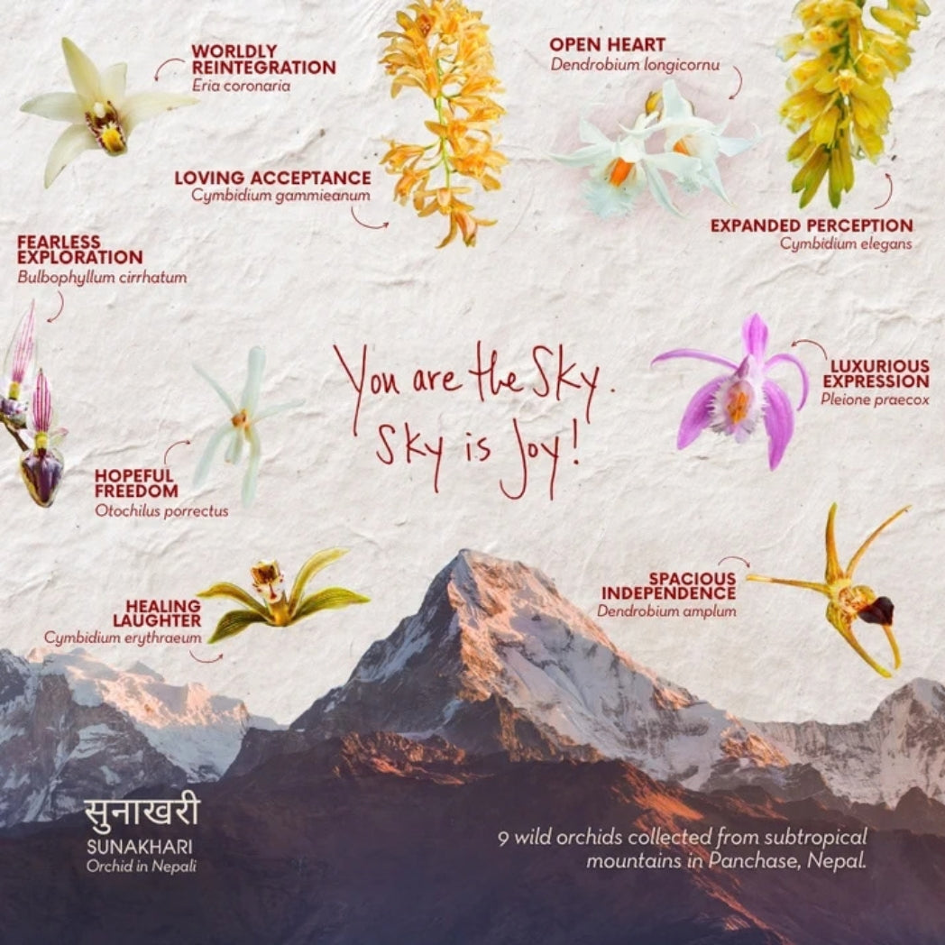 Wild Sky Orchid Essence Elixir