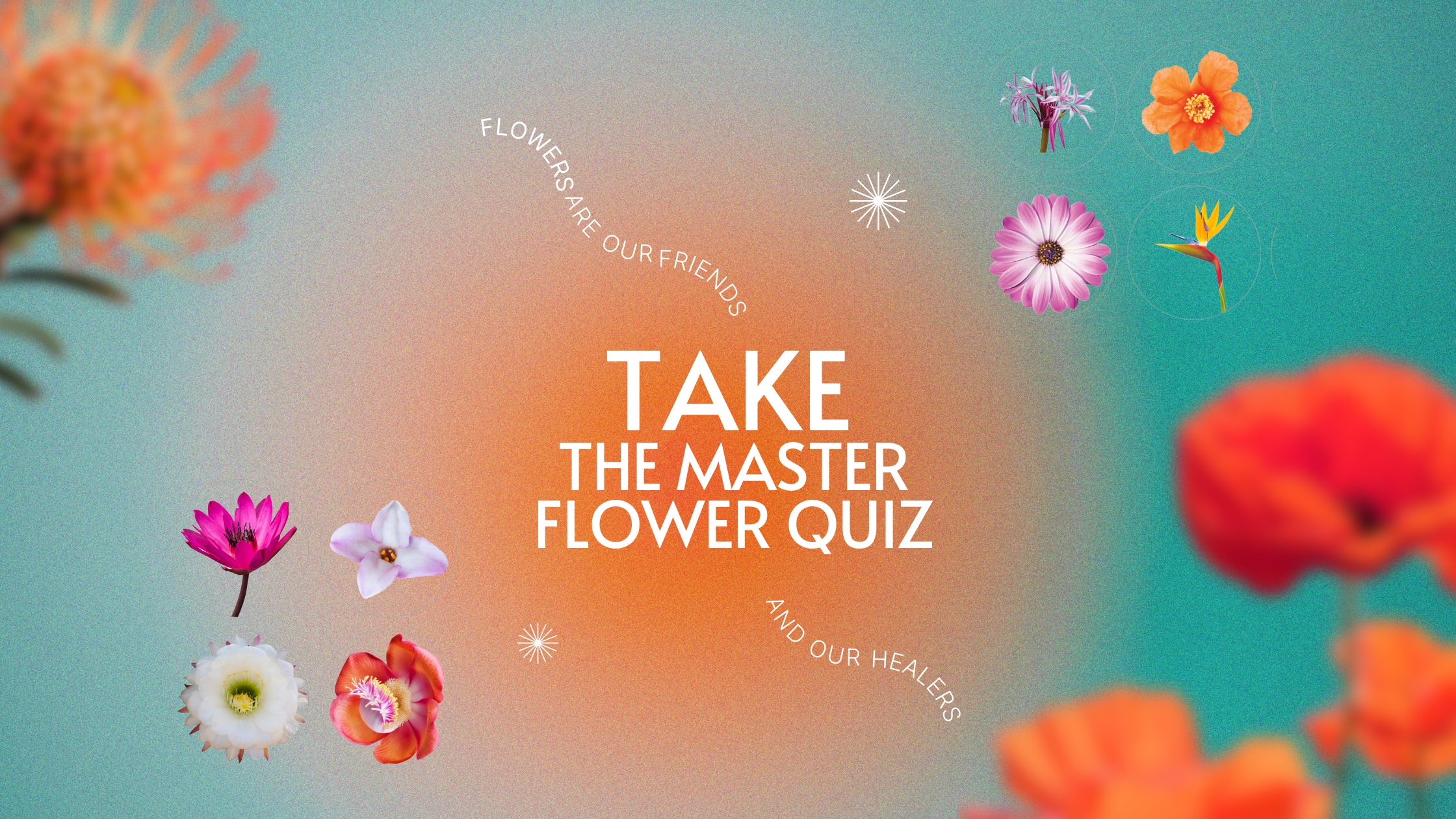 flowerquiz1_Blog_Banner.png